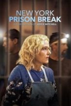 Nonton Film NY Prison Break: The Seduction of Joyce Mitchell (2017) Subtitle Indonesia Streaming Movie Download