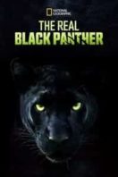 Layarkaca21 LK21 Dunia21 Nonton Film The Real Black Panther (2020) Subtitle Indonesia Streaming Movie Download