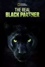 Nonton Film The Real Black Panther (2020) Subtitle Indonesia Streaming Movie Download