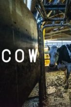 Nonton Film Cow (2022) Subtitle Indonesia Streaming Movie Download