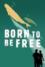 Born to Be Free (2017)