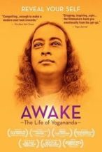 Nonton Film Awake: The Life of Yogananda (2014) Subtitle Indonesia Streaming Movie Download