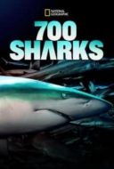 Layarkaca21 LK21 Dunia21 Nonton Film 700 Sharks (2018) Subtitle Indonesia Streaming Movie Download