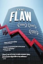 The Flaw (2011)