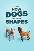 Nonton Film How Dogs Got Their Shapes (2016) Subtitle Indonesia Streaming Movie Download