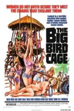 Nonton Film The Big Bird Cage (1972) Subtitle Indonesia Streaming Movie Download