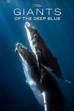 Giants of the Deep Blue (2017)