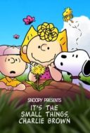 Layarkaca21 LK21 Dunia21 Nonton Film Snoopy Presents: It’s the Small Things, Charlie Brown (2022) Subtitle Indonesia Streaming Movie Download