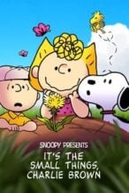 Nonton Film Snoopy Presents: It’s the Small Things, Charlie Brown (2022) Subtitle Indonesia Streaming Movie Download