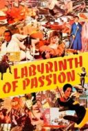 Layarkaca21 LK21 Dunia21 Nonton Film Labyrinth of Passion (1982) Subtitle Indonesia Streaming Movie Download