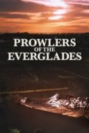 Layarkaca21 LK21 Dunia21 Nonton Film Prowlers of the Everglades (1953) Subtitle Indonesia Streaming Movie Download