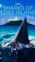 Nonton Film Sharks of Lost Island (2013) Subtitle Indonesia Streaming Movie Download
