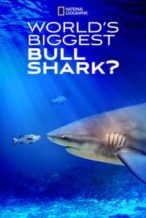 Nonton Film World’s Biggest Bull Shark? (2021) Subtitle Indonesia Streaming Movie Download