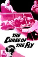 Layarkaca21 LK21 Dunia21 Nonton Film Curse of the Fly (1965) Subtitle Indonesia Streaming Movie Download