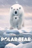 Layarkaca21 LK21 Dunia21 Nonton Film Polar Bear (2022) Subtitle Indonesia Streaming Movie Download