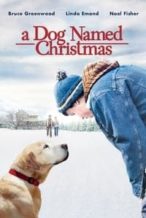 Nonton Film A Dog Named Christmas (2009) Subtitle Indonesia Streaming Movie Download