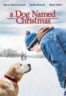 Layarkaca21 LK21 Dunia21 Nonton Film A Dog Named Christmas (2009) Subtitle Indonesia Streaming Movie Download