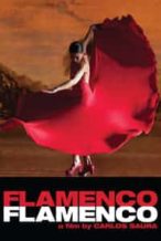 Nonton Film Flamenco Flamenco (2010) Subtitle Indonesia Streaming Movie Download