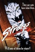 Nonton Film Strays (1991) Subtitle Indonesia Streaming Movie Download