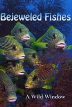 Nonton Film Wild Window: Bejeweled Fishes (2016) Subtitle Indonesia Streaming Movie Download