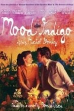 Nonton Film Mood Indigo (2013) Subtitle Indonesia Streaming Movie Download