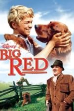 Big Red (1962)