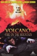 Nonton Film Volcano: Fire on the Mountain (1997) Subtitle Indonesia Streaming Movie Download