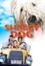 Layarkaca21 LK21 Dunia21 Nonton Film The Shaggy Dog (1959) Subtitle Indonesia Streaming Movie Download