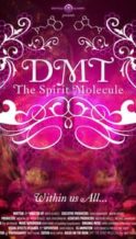 Nonton Film DMT: The Spirit Molecule (2010) Subtitle Indonesia Streaming Movie Download