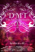 Nonton Film DMT: The Spirit Molecule (2010) Subtitle Indonesia Streaming Movie Download