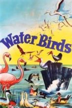 Nonton Film Water Birds (1952) Subtitle Indonesia Streaming Movie Download