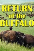 Layarkaca21 LK21 Dunia21 Nonton Film The Return of the Buffalo: Restoring the Great American Prairie (2008) Subtitle Indonesia Streaming Movie Download