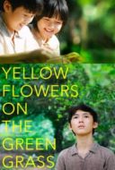 Layarkaca21 LK21 Dunia21 Nonton Film Yellow Flowers On the Green Grass (2015) Subtitle Indonesia Streaming Movie Download