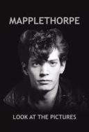 Layarkaca21 LK21 Dunia21 Nonton Film Mapplethorpe: Look at the Pictures (2016) Subtitle Indonesia Streaming Movie Download
