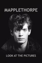 Nonton Film Mapplethorpe: Look at the Pictures (2016) Subtitle Indonesia Streaming Movie Download