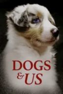 Layarkaca21 LK21 Dunia21 Nonton Film Dogs and Us: The Secret of a Friendship (2018) Subtitle Indonesia Streaming Movie Download