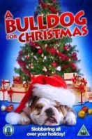 Layarkaca21 LK21 Dunia21 Nonton Film A Bulldog for Christmas (2013) Subtitle Indonesia Streaming Movie Download