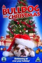 Nonton Film A Bulldog for Christmas (2013) Subtitle Indonesia Streaming Movie Download