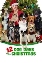 Nonton Film 12 Dog Days Till Christmas (2014) Subtitle Indonesia Streaming Movie Download