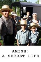 Nonton Film Amish: A Secret Life (2012) Subtitle Indonesia Streaming Movie Download