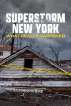 Nonton Film Superstorm New York: What Really Happened (2012) Subtitle Indonesia Streaming Movie Download
