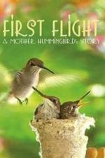 First Flight: A Mother Hummingbird’s Story (2009)