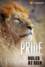Lions – The Private Life of Big Cats (2016)