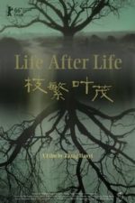 Life After Life (2017)