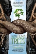 Intelligent Trees (2017)