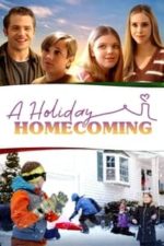 A Holiday Homecoming (2021)