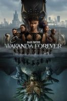 Layarkaca21 LK21 Dunia21 Nonton Film Black Panther: Wakanda Forever (2022) Subtitle Indonesia Streaming Movie Download