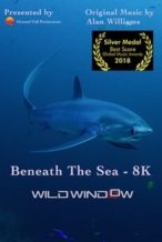 Nonton Film Wild Window: Beneath the Sea (2018) Subtitle Indonesia Streaming Movie Download