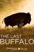 Layarkaca21 LK21 Dunia21 Nonton Film The Last Buffalo (2017) Subtitle Indonesia Streaming Movie Download