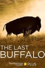 Nonton Film The Last Buffalo (2017) Subtitle Indonesia Streaming Movie Download